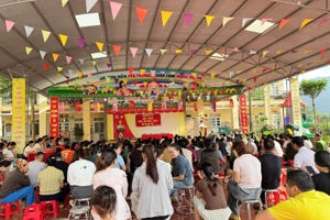 Hội nghị phụ huynh học sinh NH 2026-2027